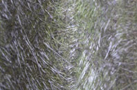 Graby fibreglass roof work